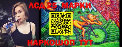 спиды Краснознаменск