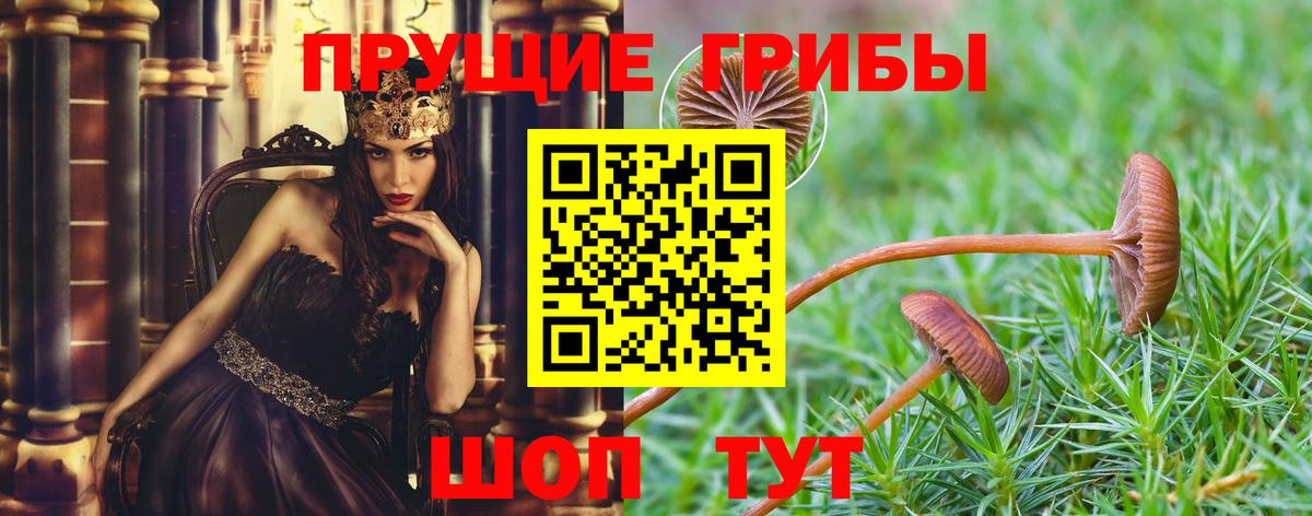 Котовск  Псилоцибиновые грибы Psilocybe  Псилоцибиновые грибы Cubensis  Вход с VPN 