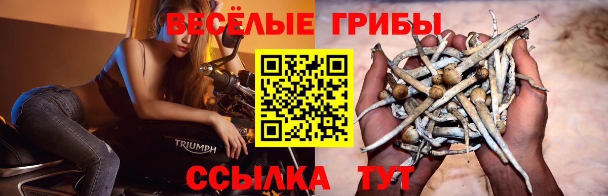 Галлюциногенные грибы MAGIC MUSHROOMS Котовск