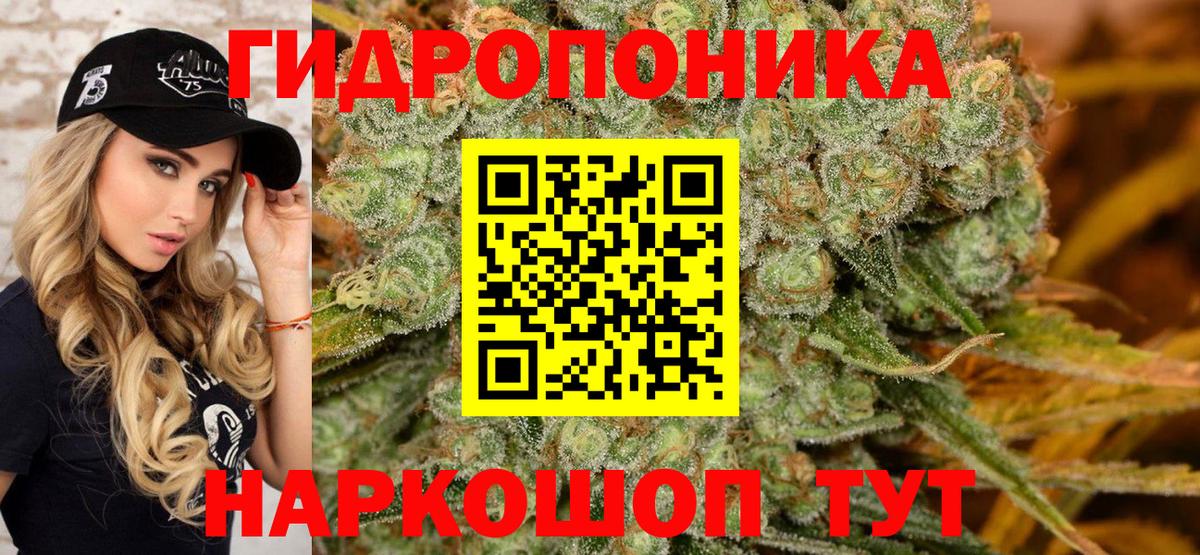 Шишки марихуана планчик  МАРИХУАНА SATIVA & INDICA  Марихуана SATIVA & INDICA  Котовск  Вход с VPN 